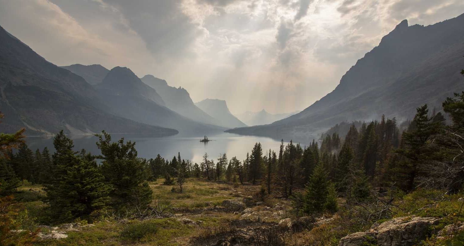 Daily Forum World News